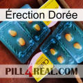 Érection Dorée cialis5